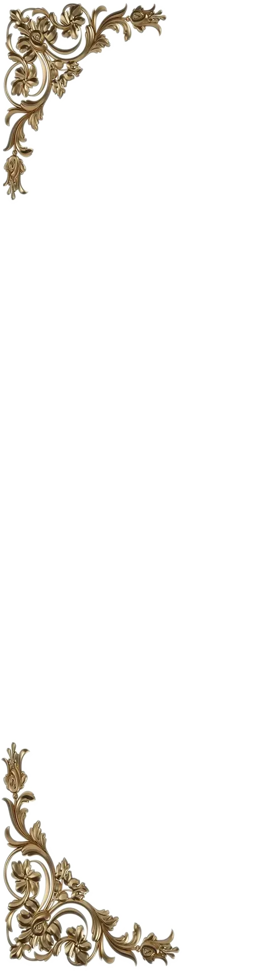 Frame Left
